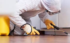 Emergency Pest Control Services in Meiners Oaks, CA